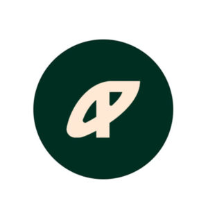 Pauer Studio