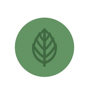 Menta Estampas