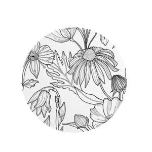 Jengibre Arte e Ilustraciones