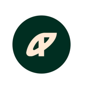 Pauer Studio